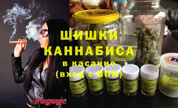 эйфоретик Богданович