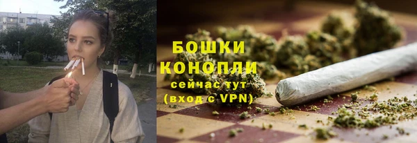 эйфоретик Богданович