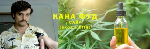 стаф Богородск