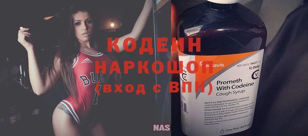 эйфоретик Богданович