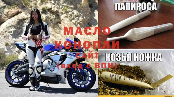 эйфоретик Богданович