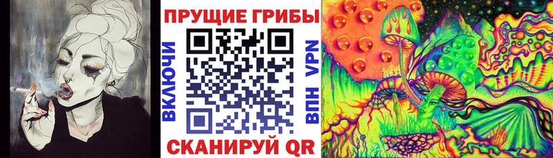 Купить где  Динская  Псилоцибиновые грибы MAGIC MUSHROOMS 